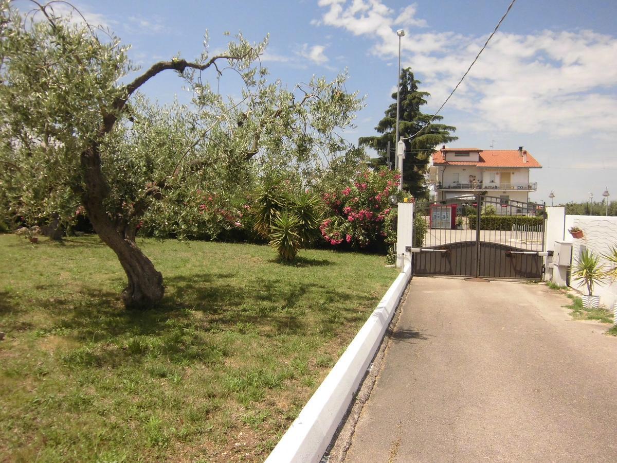 Ma.Di Bb Bed and Breakfast Rocca San Giovanni Exteriör bild