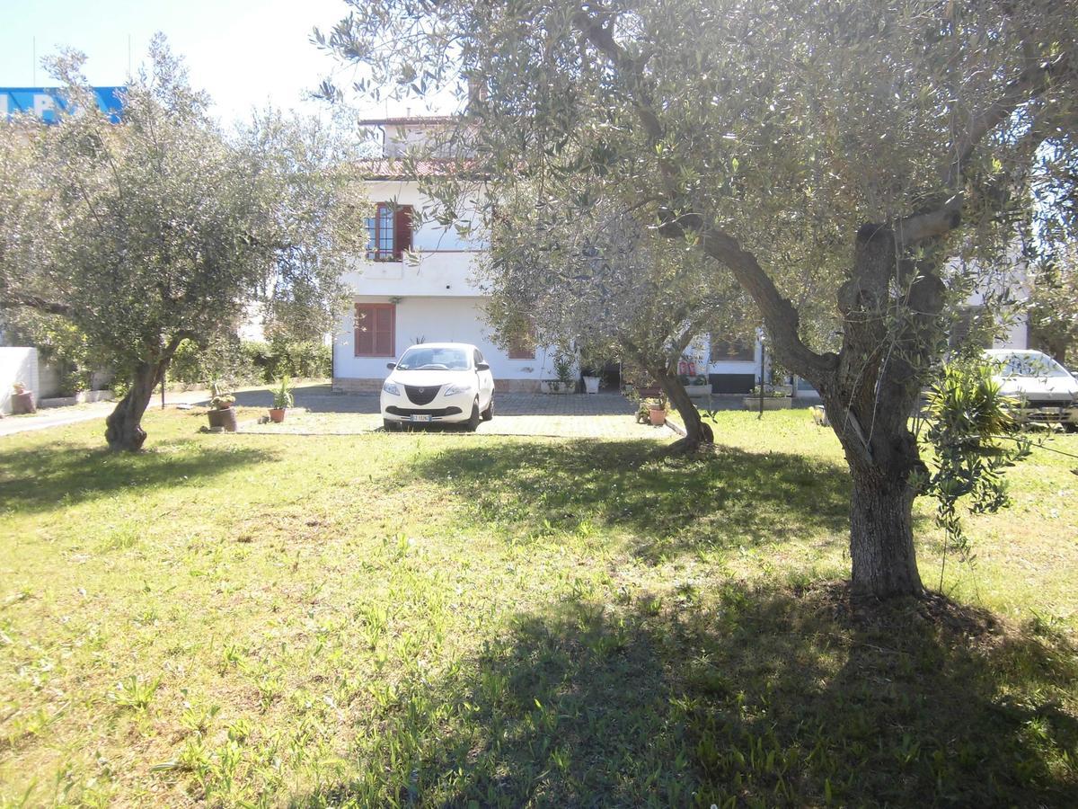 Ma.Di Bb Bed and Breakfast Rocca San Giovanni Exteriör bild